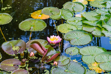 Similar image 16925014