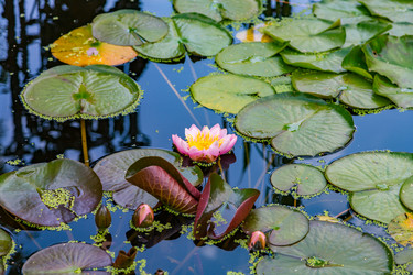 Similar image 16925023