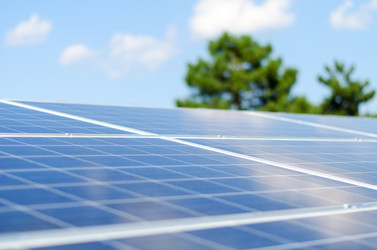 Similar image 17239784