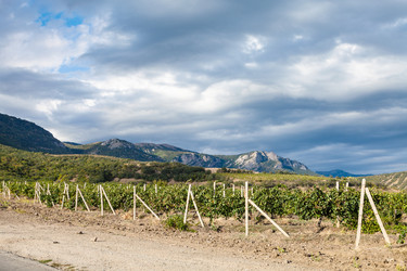 Similar image 16744500