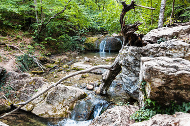 Similar image 16744876