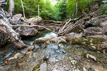 Similar image 16745026