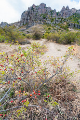 Similar image 16746483