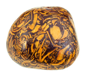 Similar image 16749734