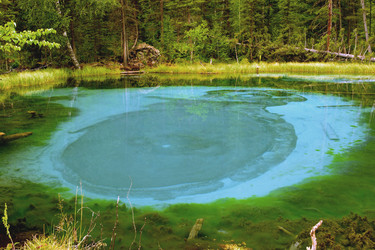 Similar image 16924039