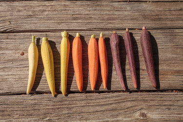 Similar image 16924215