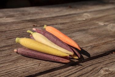 Similar image 16924216