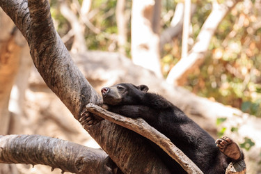 Similar image 16924220