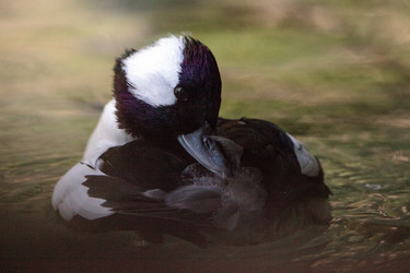 Similar image 16924221