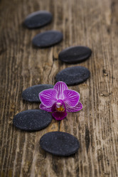 Similar image 17238683