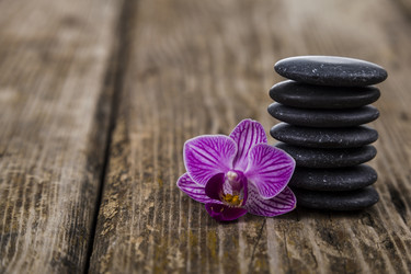 Similar image 17238684