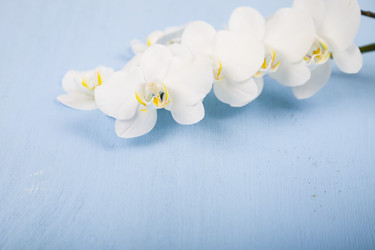 Similar image 17238692