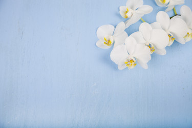 Similar image 17238693