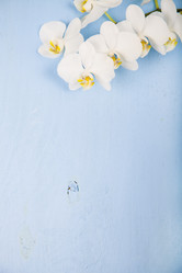 Similar image 17238694