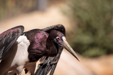 Similar image 16924201