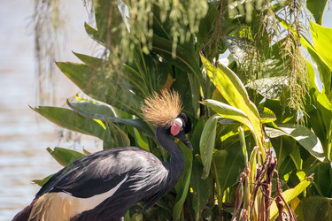 Similar image 16924202