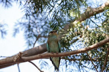 Similar image 16924238