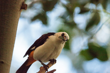 Similar image 16924243