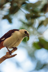 Similar image 16924242