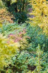 Similar image 16925078