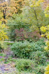 Similar image 16925079