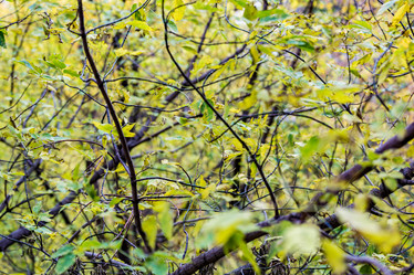 Similar image 16925105