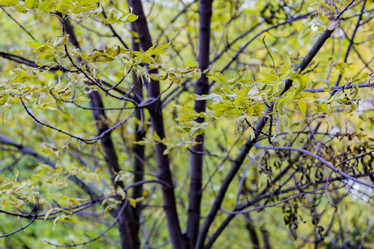 Similar image 16925106