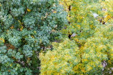 Similar image 16925220