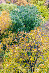 Similar image 16925232