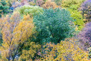 Similar image 16925233