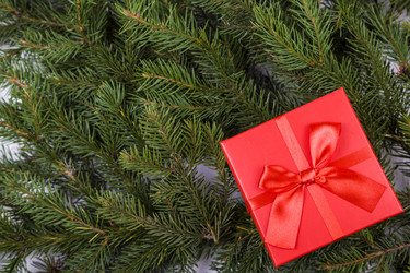 Similar image 17238505