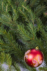 Similar image 17238508