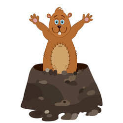 Similar image 17544443