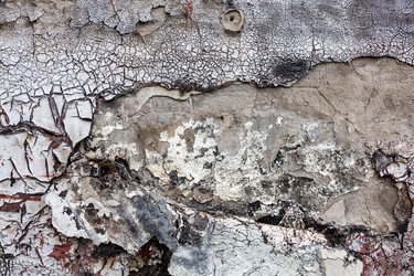 Similar image 16925121