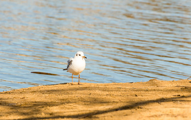 Similar image 17247630