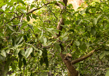 Similar image 17247631