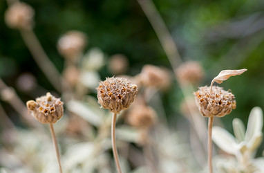 Similar image 16982373