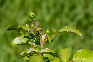 Similar image 17247684