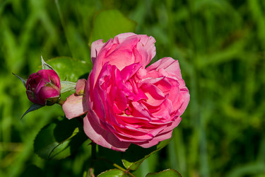 Similar image 17247685