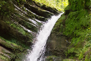 Similar image 17247686