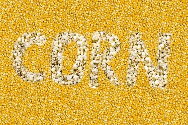 Similar image 17247660