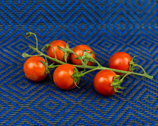 Similar image 17247711