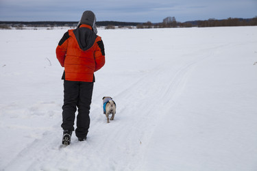 Similar image 17238721