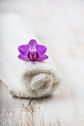 Similar image 17238166