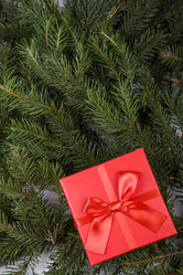 Similar image 17238170