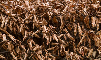 Similar image 16980519