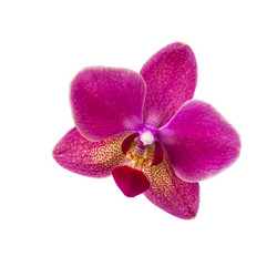 Similar image 17238477