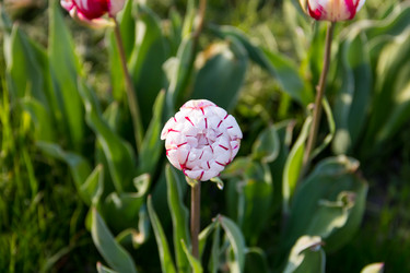 Similar image 16982381