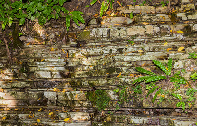 Similar image 16979877