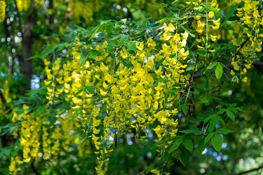 Similar image 16982459